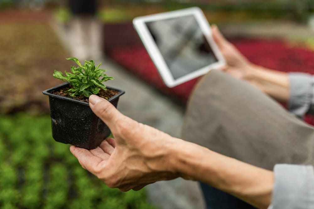 ¿Qué necesita el ecommerce de un vivero para funcionar?
